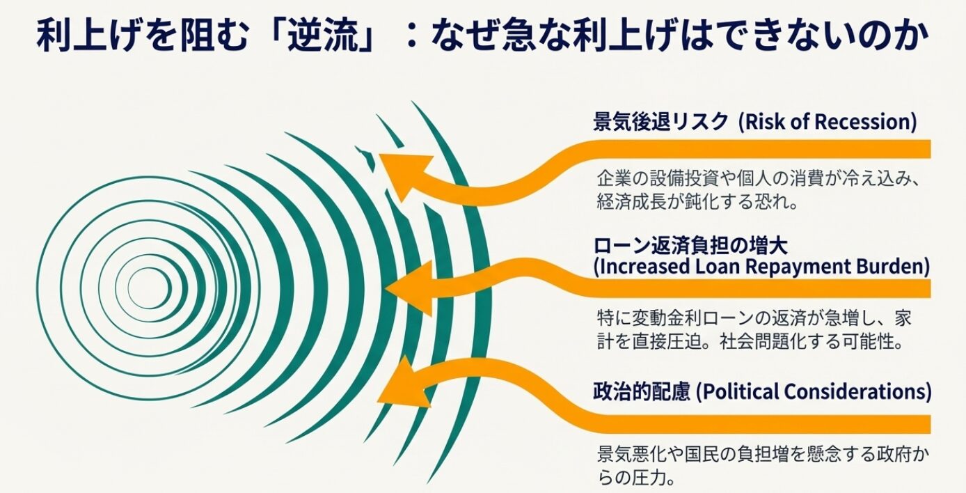 利上げの波紋に対して、景気後退リスクや住宅ローン負担増、政治的配慮といった逆風が吹いていることを示すイメージ図